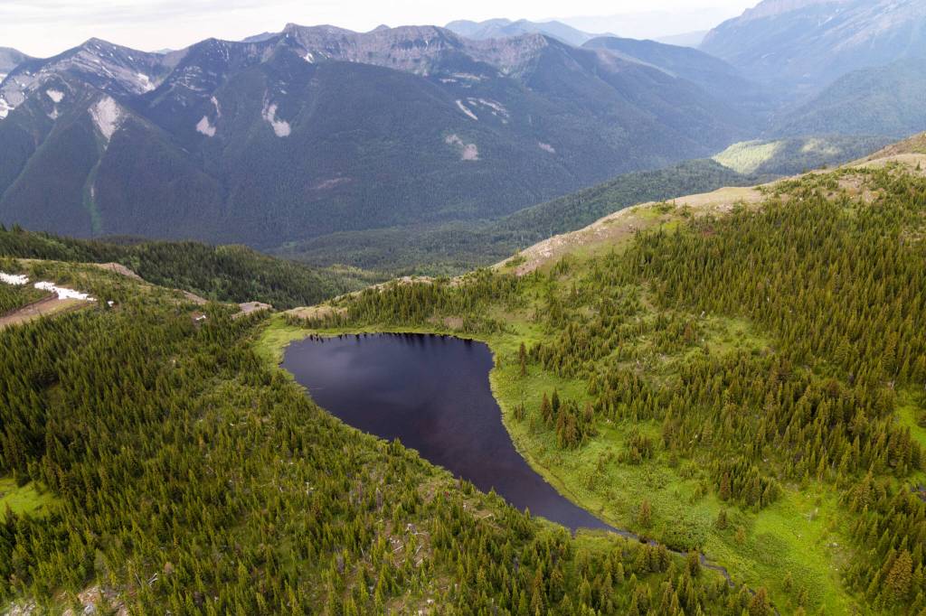 Nature Conservancy of Canada publicly announces purchase of Elk Valley logging lands