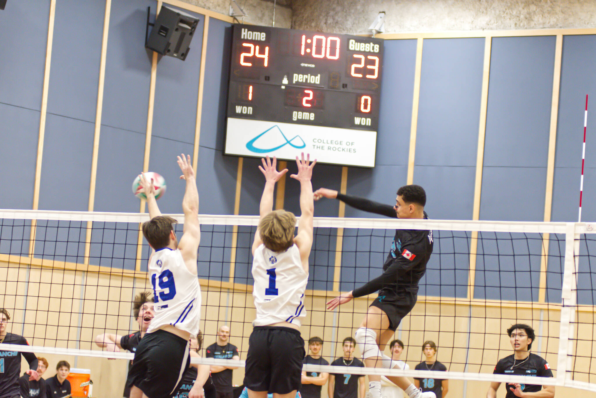 Avs host Camosun in weekend volleyball action | Cranbrook Daily Townsman