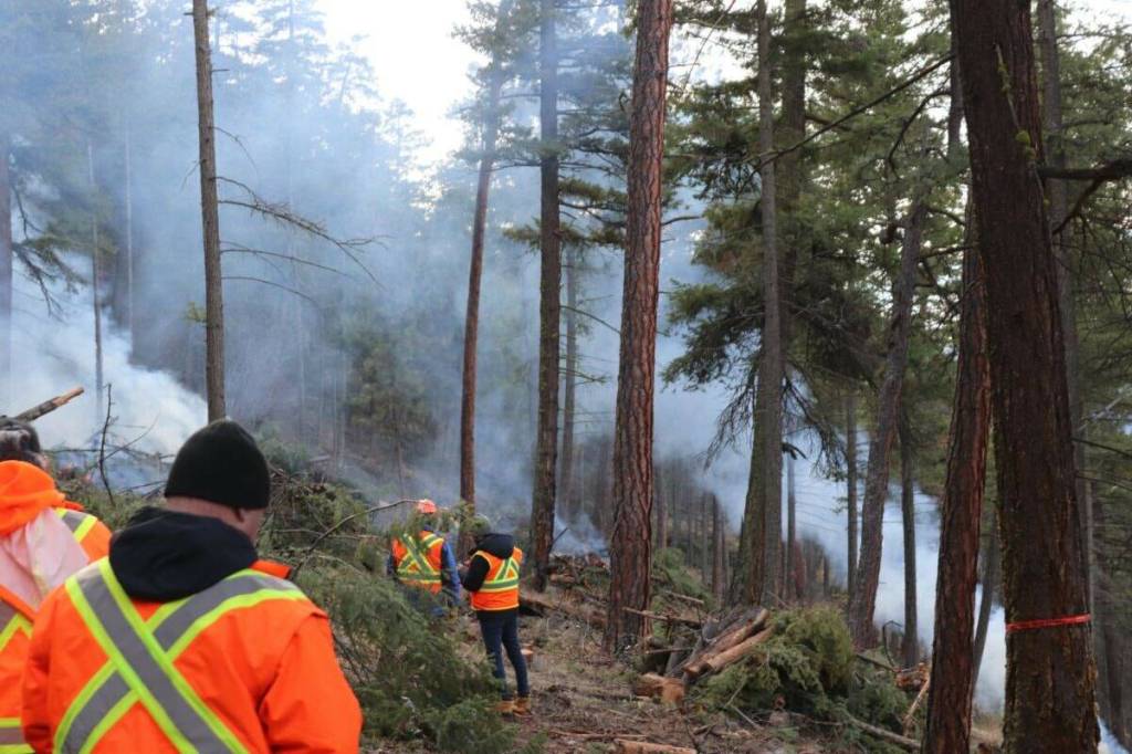FireSmart funding running dry has B.C. fire chiefs worried